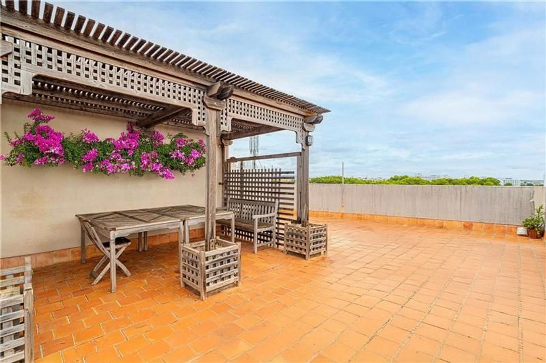 Apartment in Palma, Balearic Islands, Spain 2 - 19014931