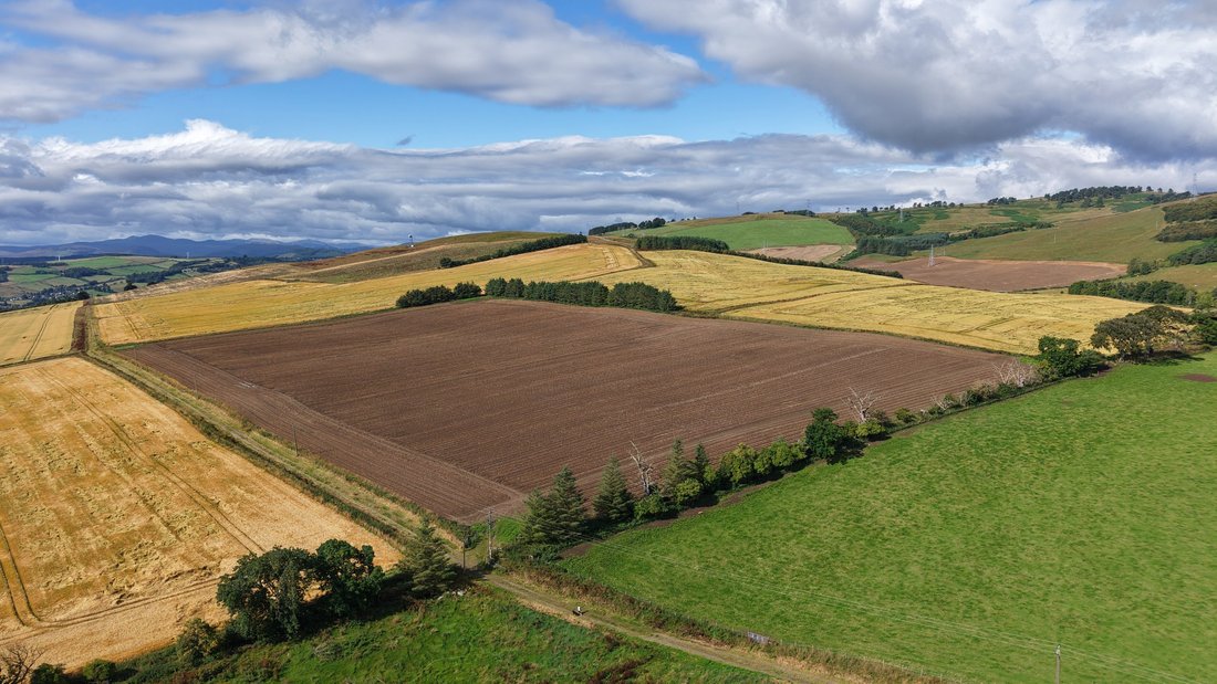 Farm Ranch in Dingwall, Scotland 2 - 19009398