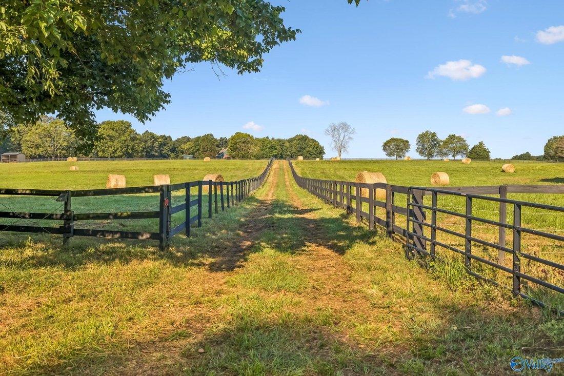 Farm Ranch in Gurley, Alabama, United States 5 - 19012204