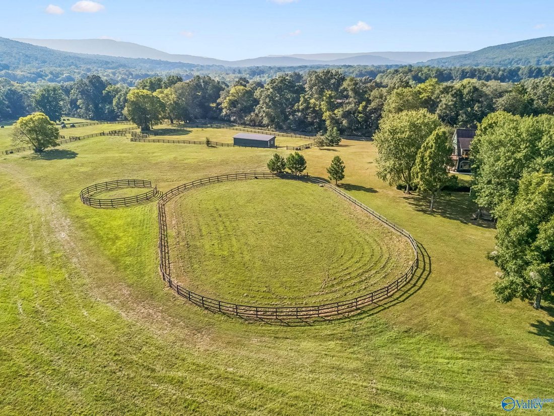 Farm Ranch in Gurley, Alabama, United States 3 - 19012204