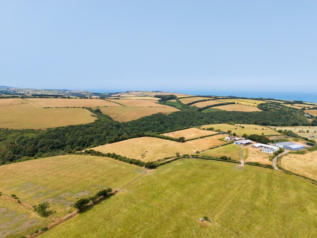 Farm Ranch in Lynton, Lynmouth, England 2 - 19010419