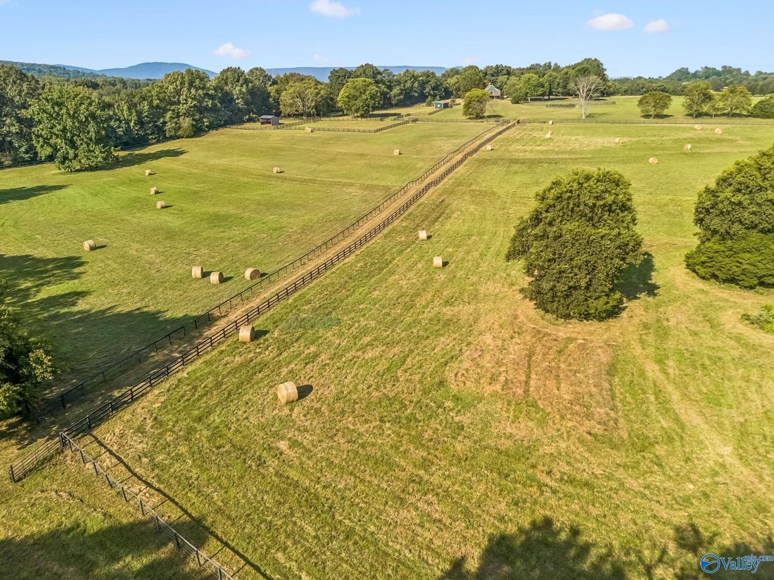Farm Ranch in Gurley, Alabama, United States 2 - 19012204