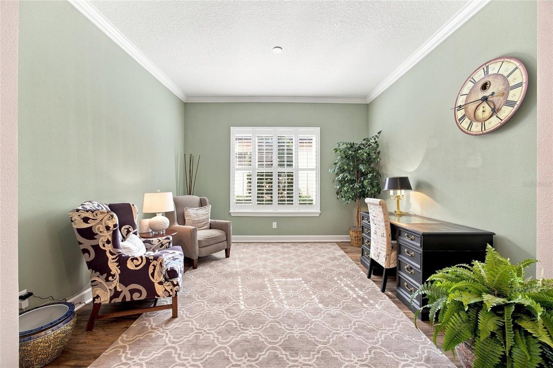 House in Tampa, Florida, United States 4 - 19009461