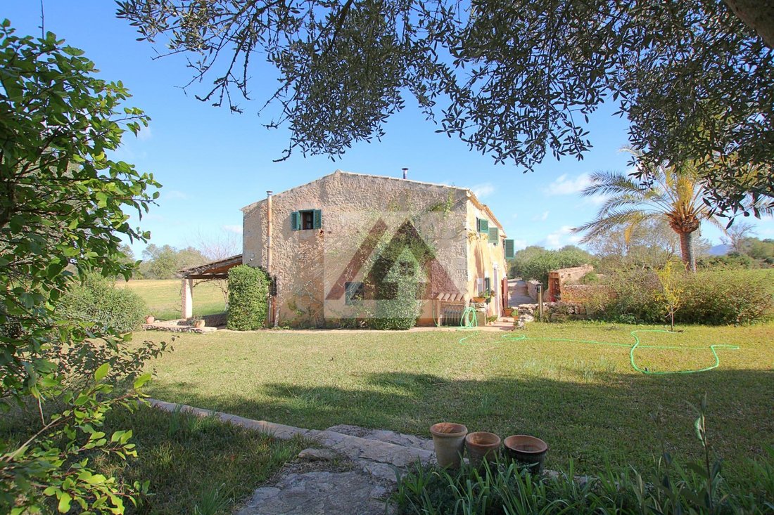 Landhaus in Felanitx, Balearische Inseln, Spanien 3 - 18091340