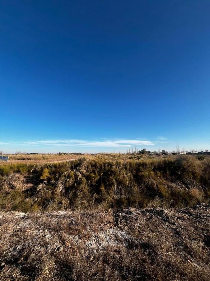 Land in Palmira, Mendoza Province, Argentina 5 - 19008759