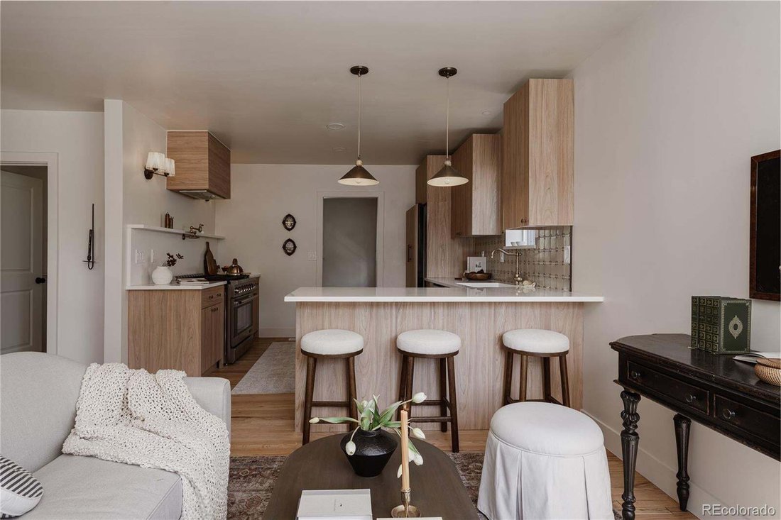 House in Denver, Colorado, United States 1 - 19009265