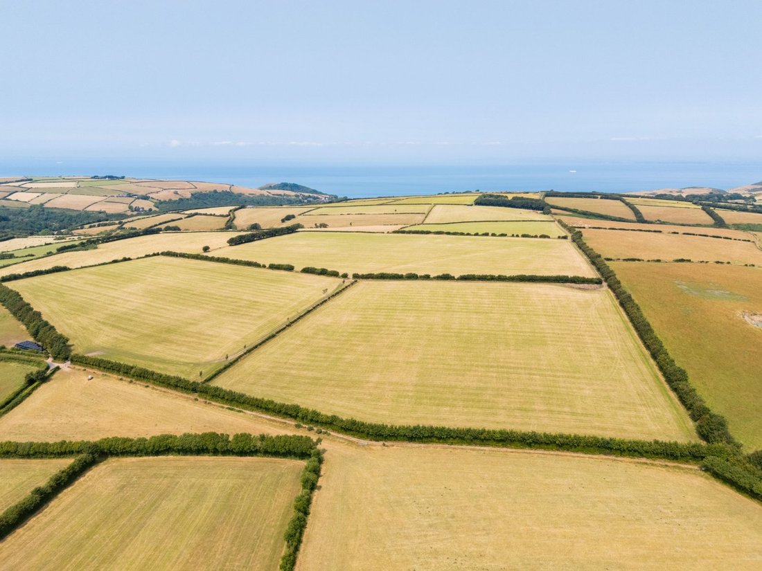 Farm Ranch in Lynton, Lynmouth, England 1 - 19010417