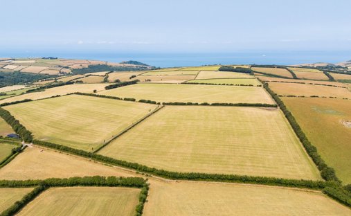 Farm Ranch in Lynton, Lynmouth, England 1