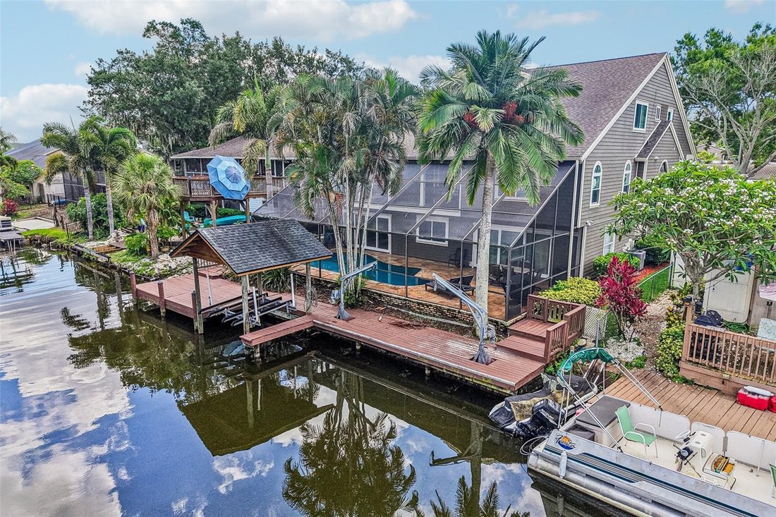 House in Palm Harbor, Florida, United States 3 - 19013102