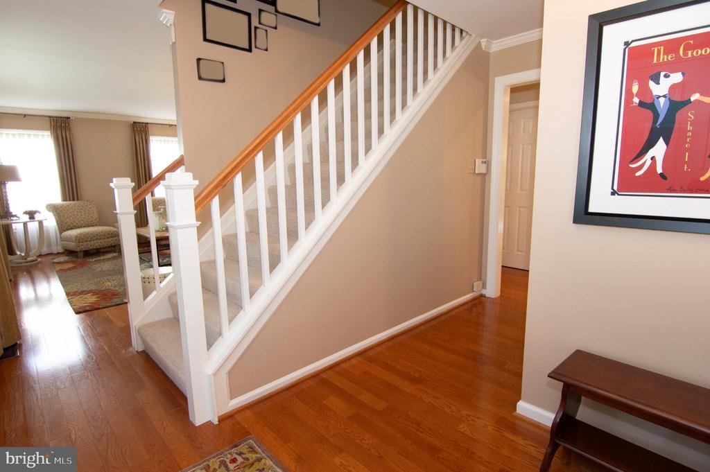 House in Burke, Virginia, United States 5 - 19009896