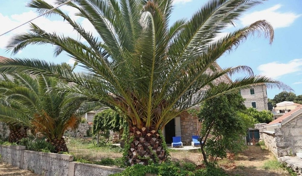 Casa en Lumbarda, Condado de Dubrovnik-Neretva, Croacia 5 - 19010580