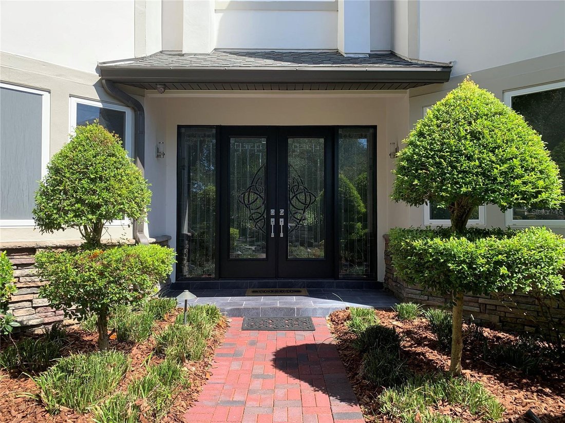 House in Palm Harbor, Florida, United States 3 - 19009538