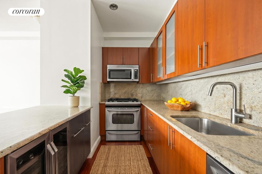 Condo in New York, New York, United States 3 - 19011429