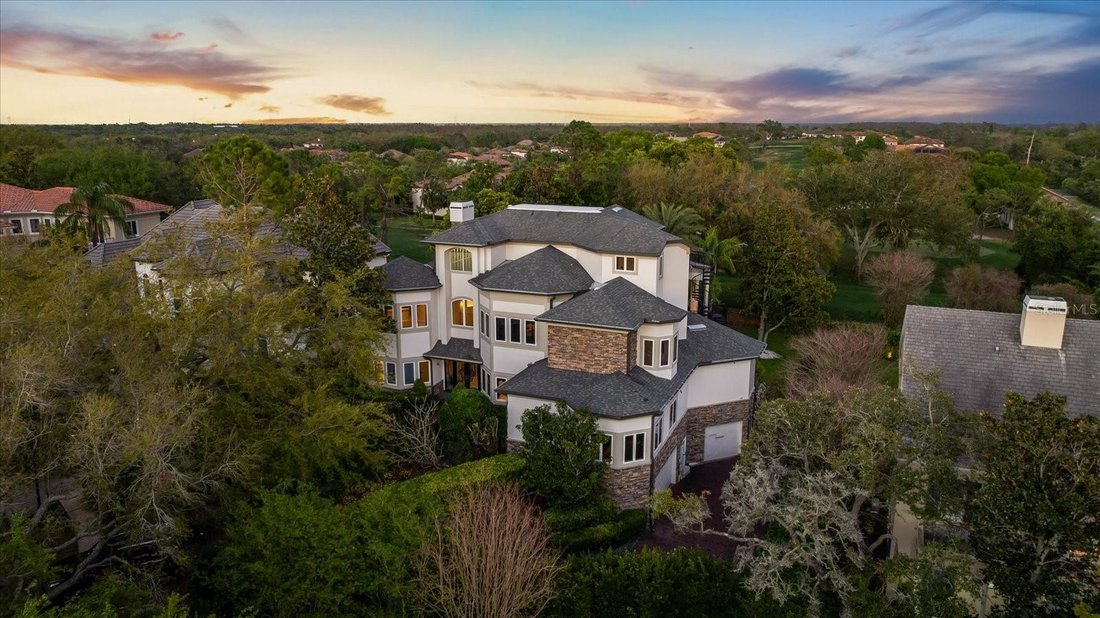 House in Palm Harbor, Florida, United States 5 - 19009538