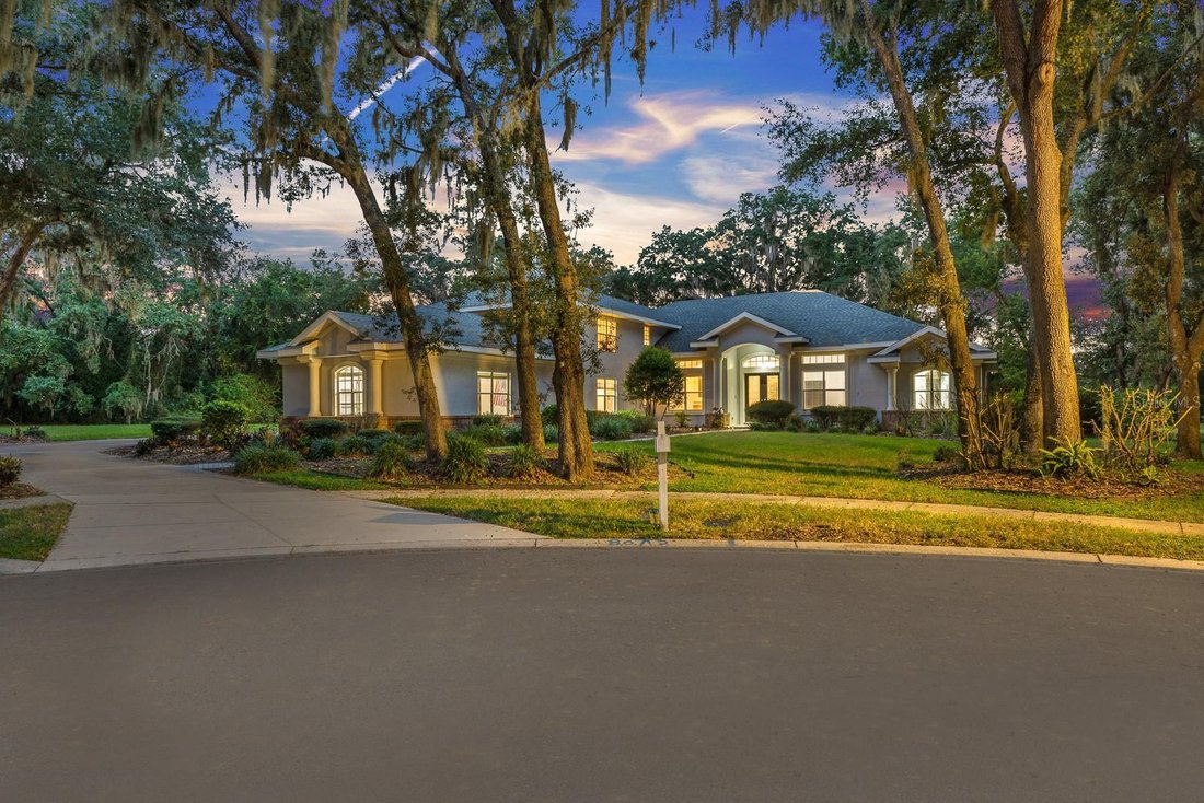 House in Lithia, Florida, United States 1 - 18705600