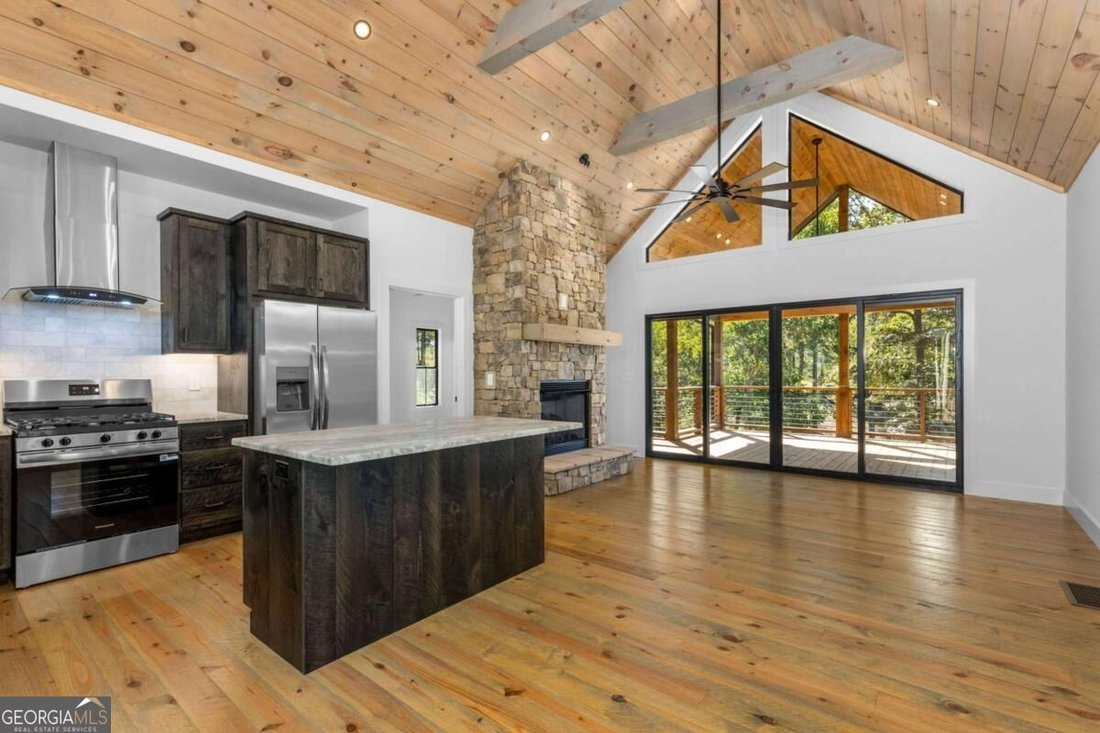 House in Mineral Bluff, Georgia, United States 3 - 19013652