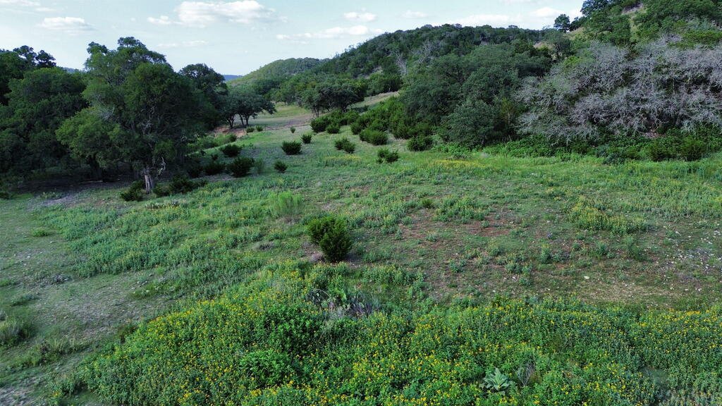 House in Boerne, Texas, United States 4 - 19009122