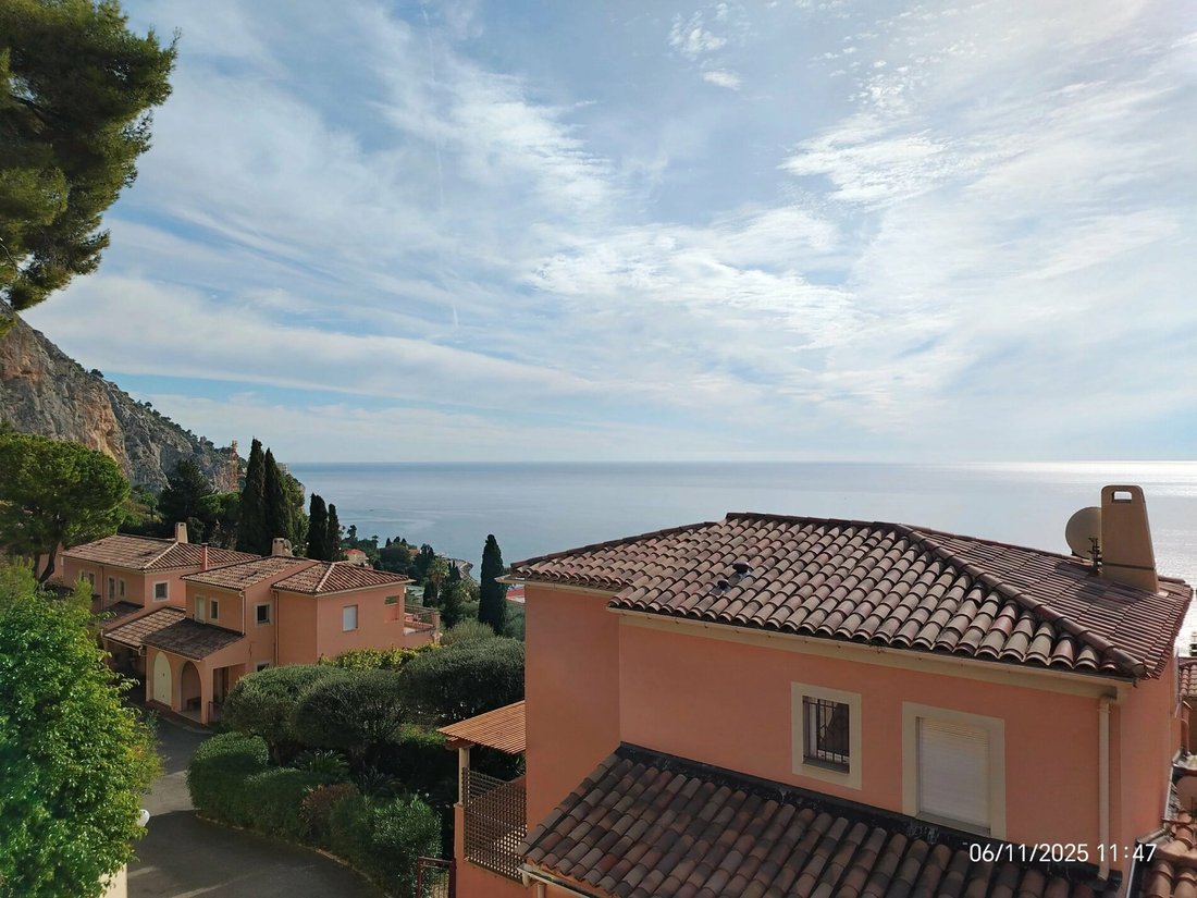 Villa in Menton, Provence-Alpes-Côte d'Azur, France 1 - 19010631