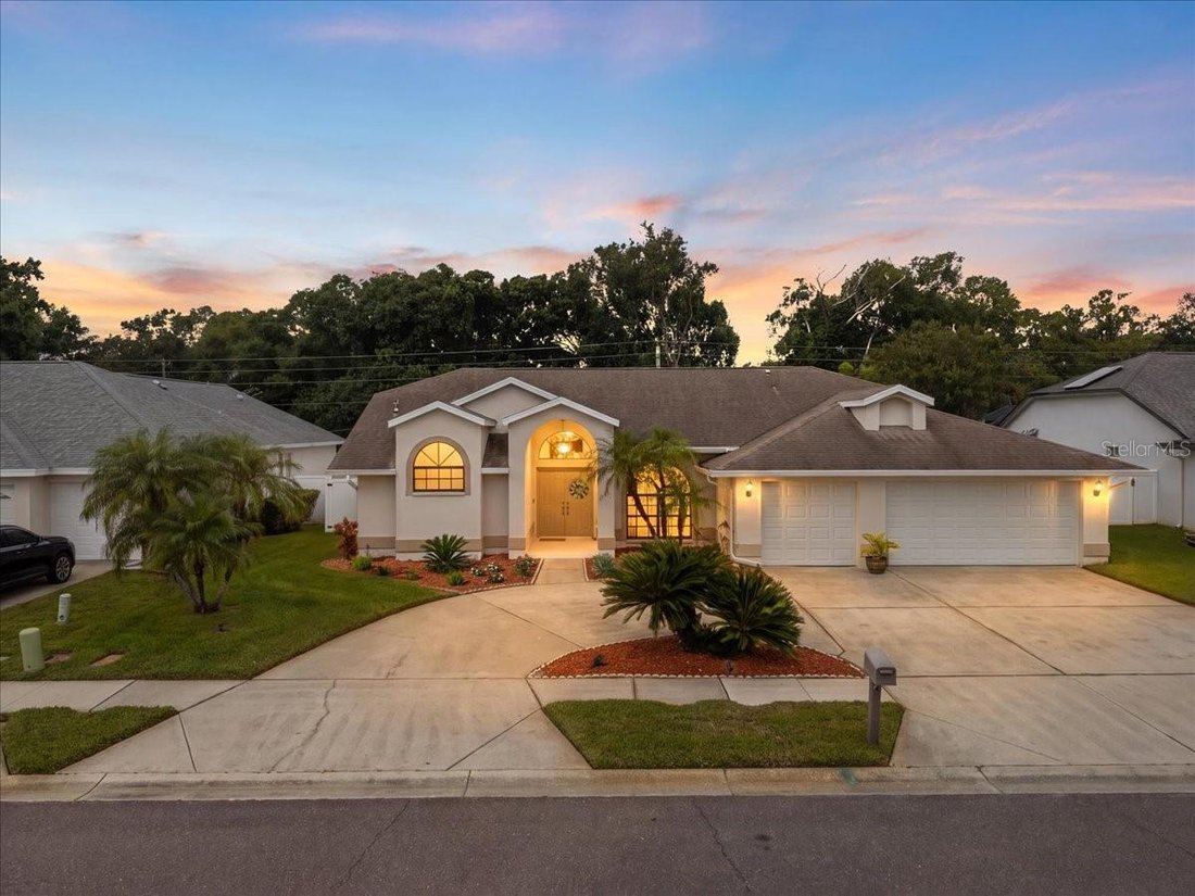 House in Palm Harbor, Florida, United States 1 - 19013990