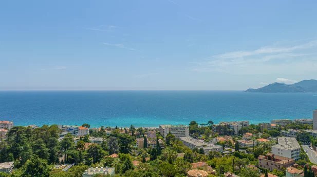Villa in Cannes, Provence-Alpes-Côte d'Azur, France 4 - 19009888