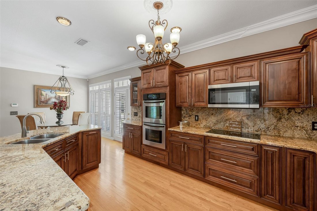 House in Tampa, Florida, United States 4 - 19009503