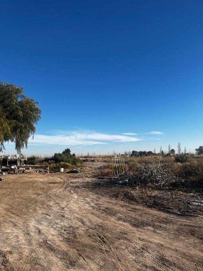 Land in Palmira, Mendoza Province, Argentina 4 - 19008759