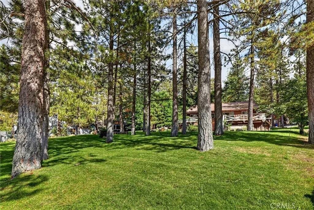 House in Big Bear Lake, California, United States 3 - 19011452