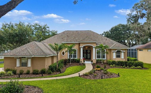 Casa a Valrico, Florida, Stati Uniti 1