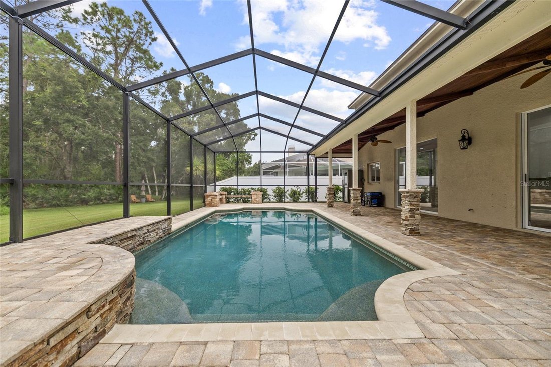 House in Odessa, Florida, United States 4 - 19009490