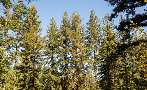 Casa a Emerald Lake Hills, California, Stati Uniti 1