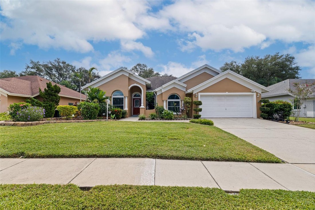House in Palm Harbor, Florida, United States 1 - 19013947