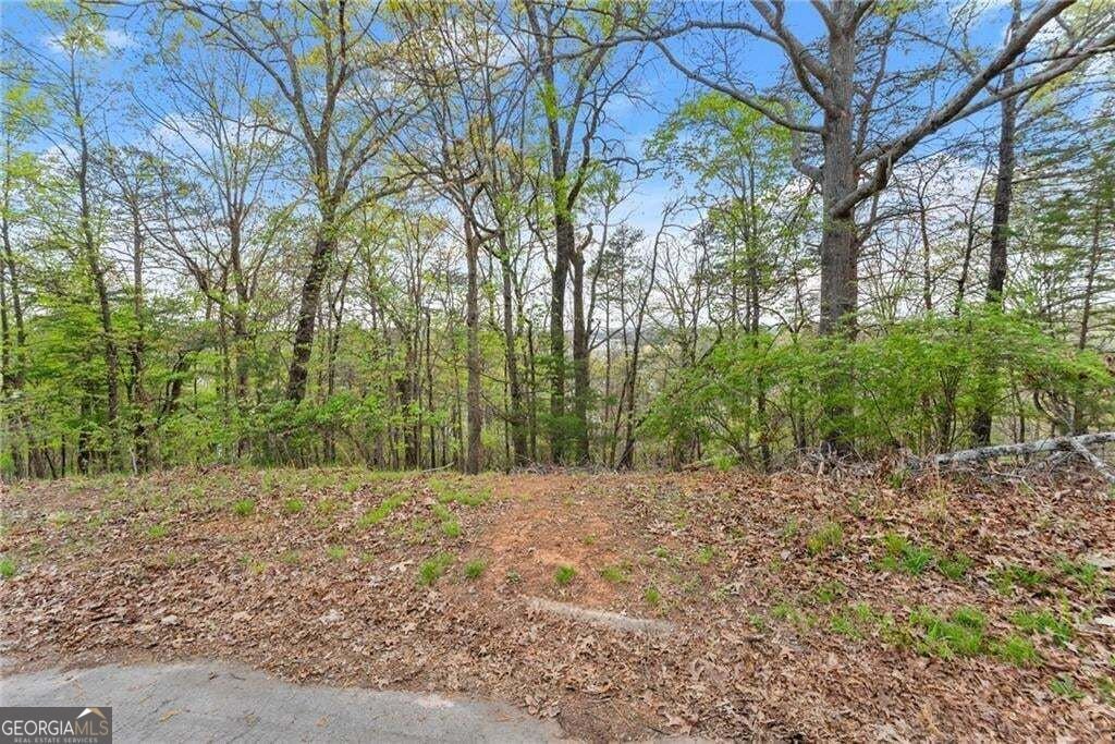 Land in Gainesville, Georgia, Vereinigte Staaten 5 - 19013887