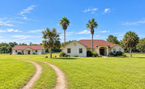 Azienda agricola a Williston, Florida, Stati Uniti 1