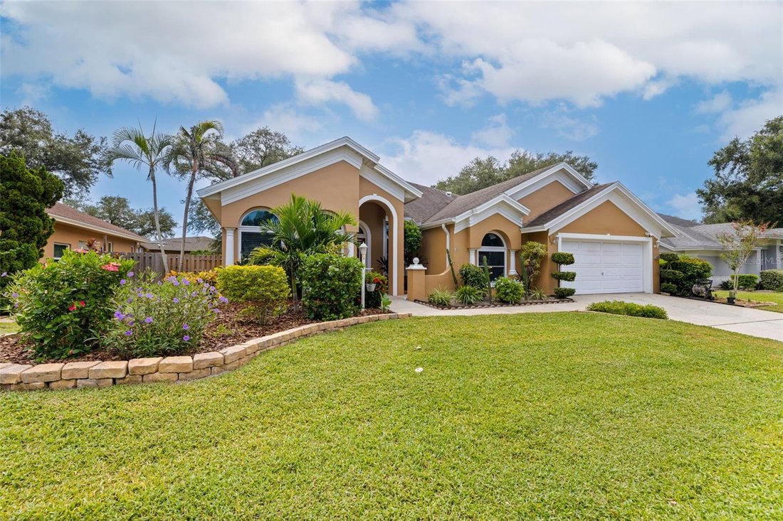 House in Palm Harbor, Florida, United States 2 - 19013947