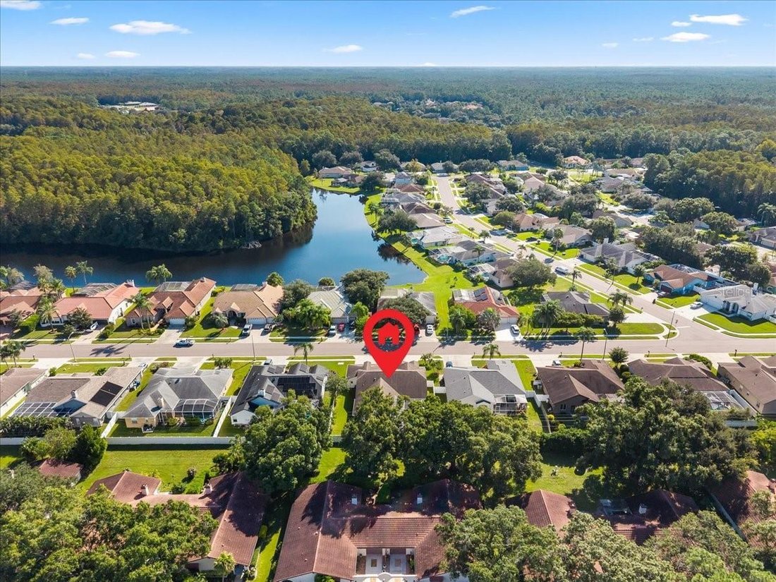 House in Palm Harbor, Florida, United States 2 - 19013990