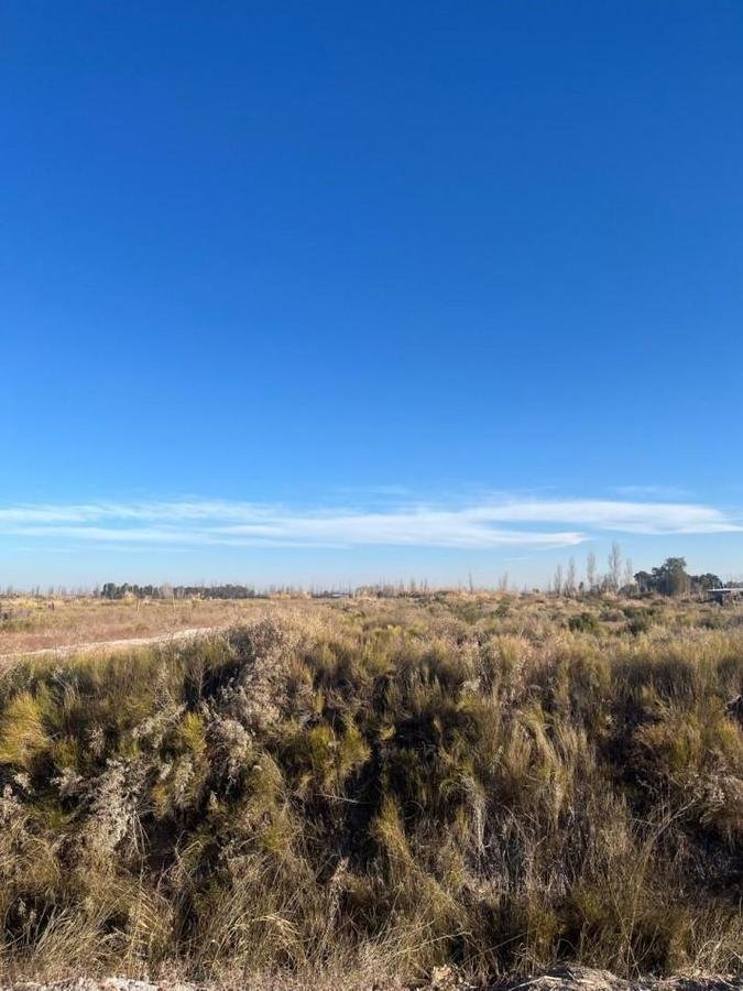 Land in Palmira, Mendoza Province, Argentina 1 - 19008759