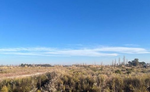 Land in Palmira, Mendoza Province, Argentina 1
