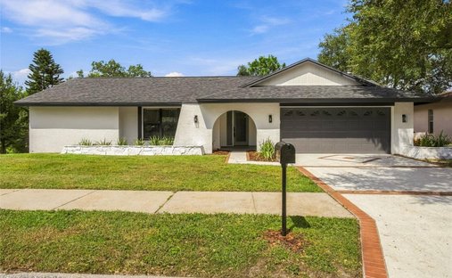 House in Safety Harbor, Florida, United States 1