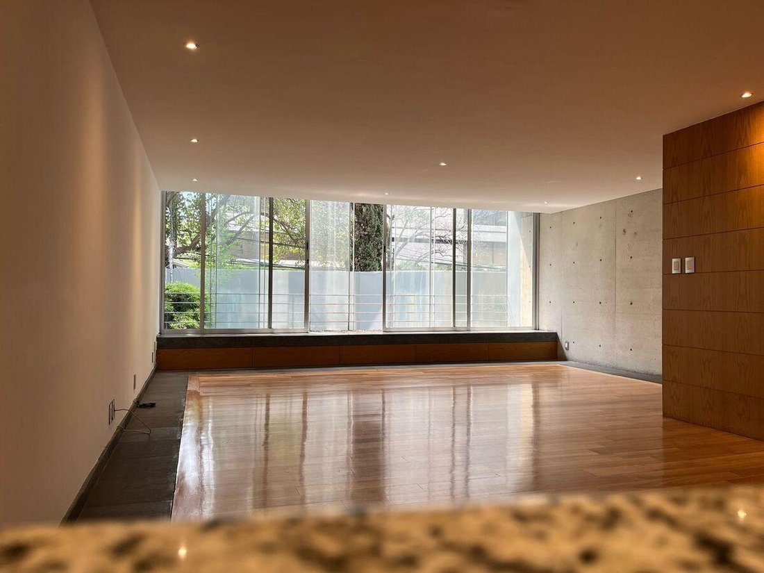 Apartment in Mexico City, Mexico 4 - 19011623