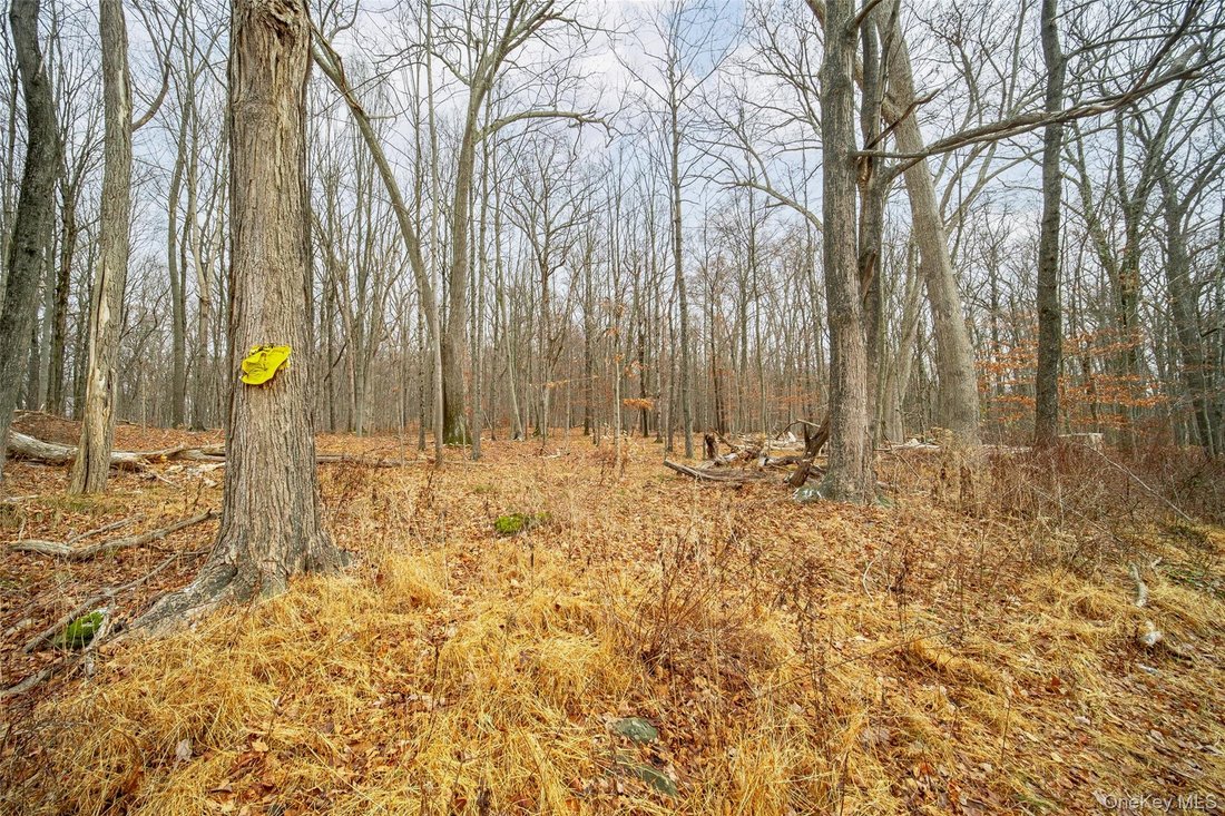 Land in Hopewell Junction, New York, United States 4 - 19014969