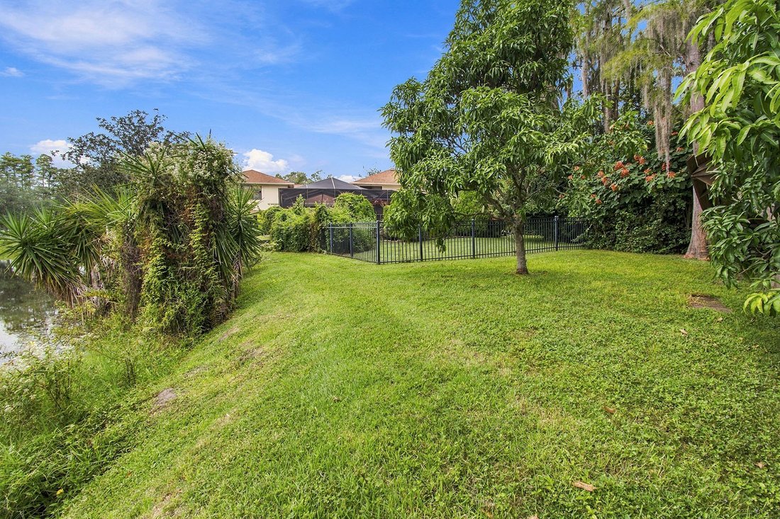 House in Tampa, Florida, United States 5 - 19008764