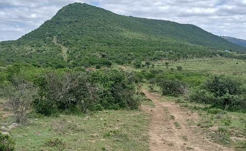 Farm Ranch in Stutterheim, Eastern Cape, South Africa 1