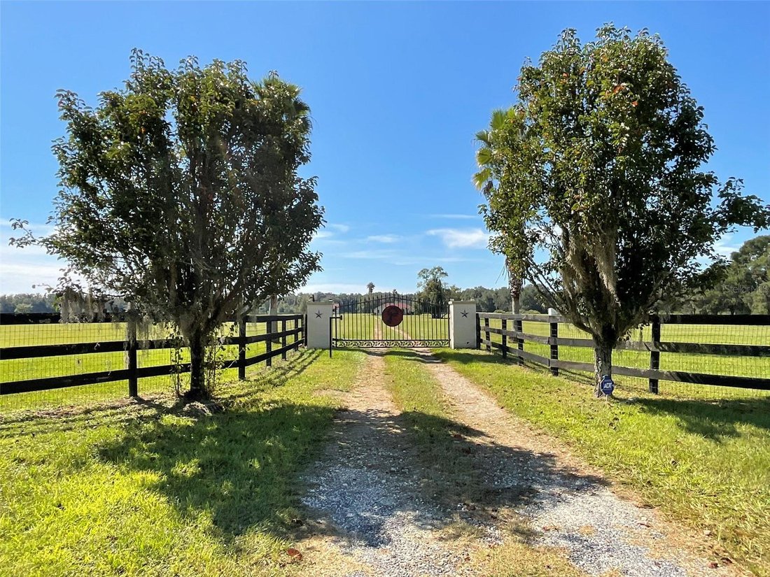 Azienda agricola a Williston, Florida, Stati Uniti 2 - 19013110