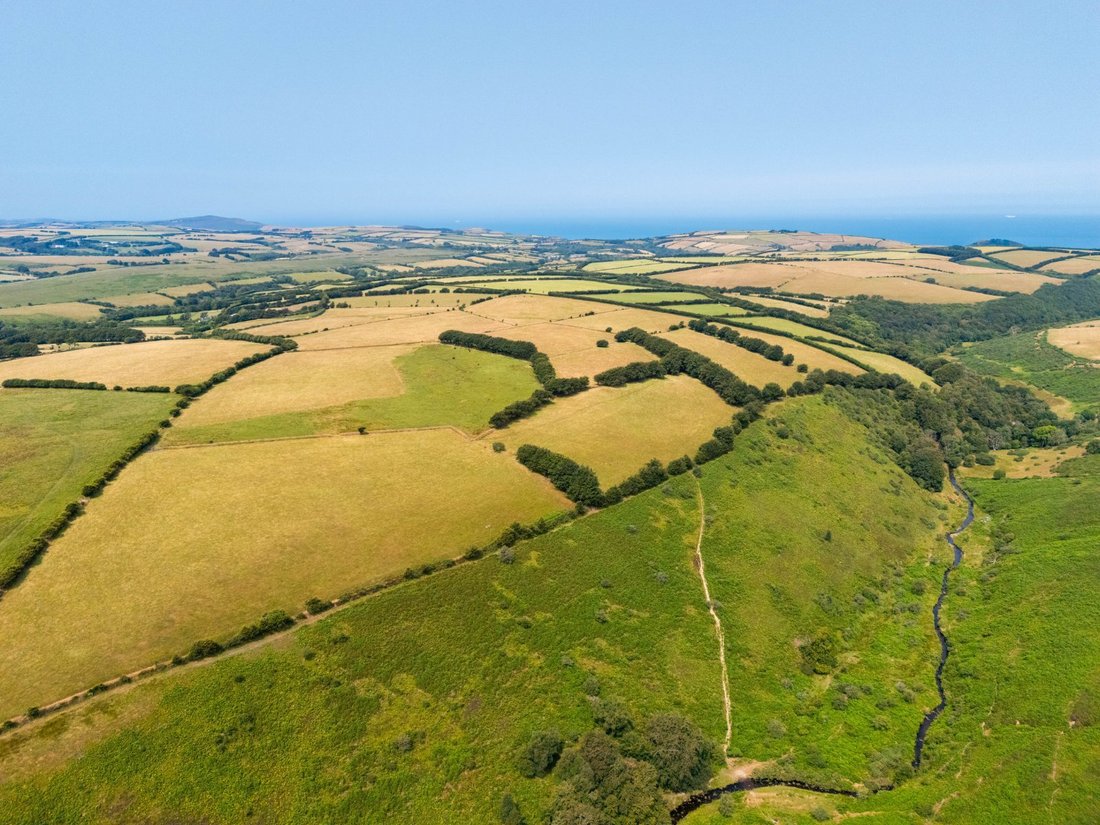Farm Ranch in Lynton, Lynmouth, England 5 - 19010419
