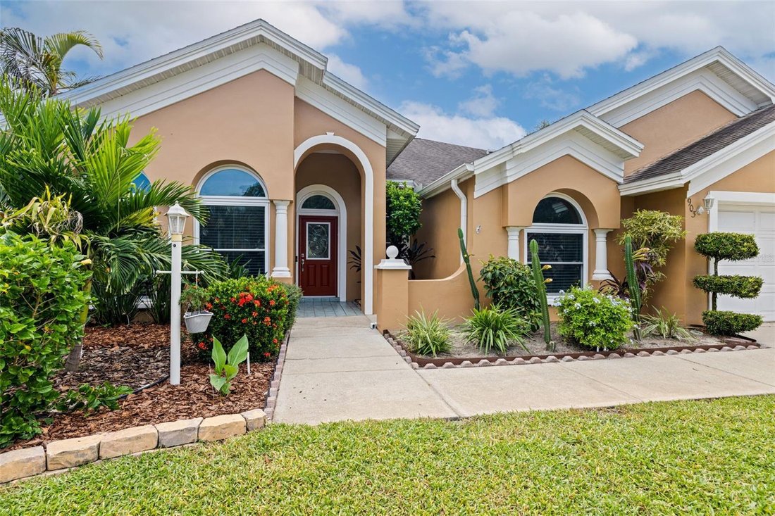 House in Palm Harbor, Florida, United States 3 - 19013947