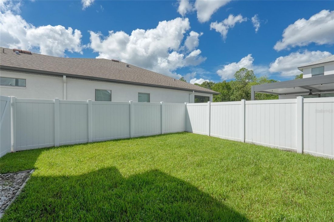 House in Odessa, Florida, United States 3 - 19009471