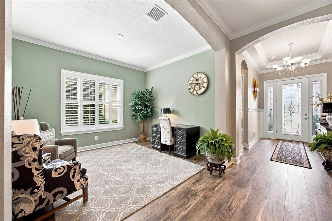 House in Tampa, Florida, United States 3 - 19009461