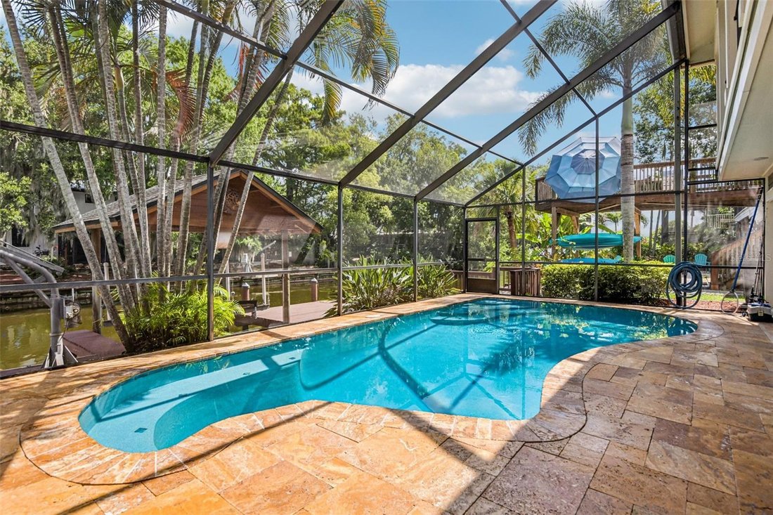 House in Palm Harbor, Florida, United States 5 - 19013102