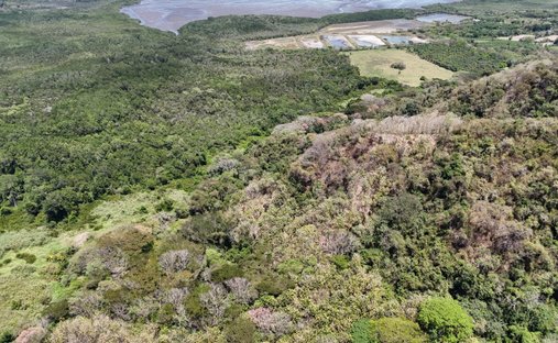 Terreno en Paquera, Provincia de Puntarenas, Costa Rica 1
