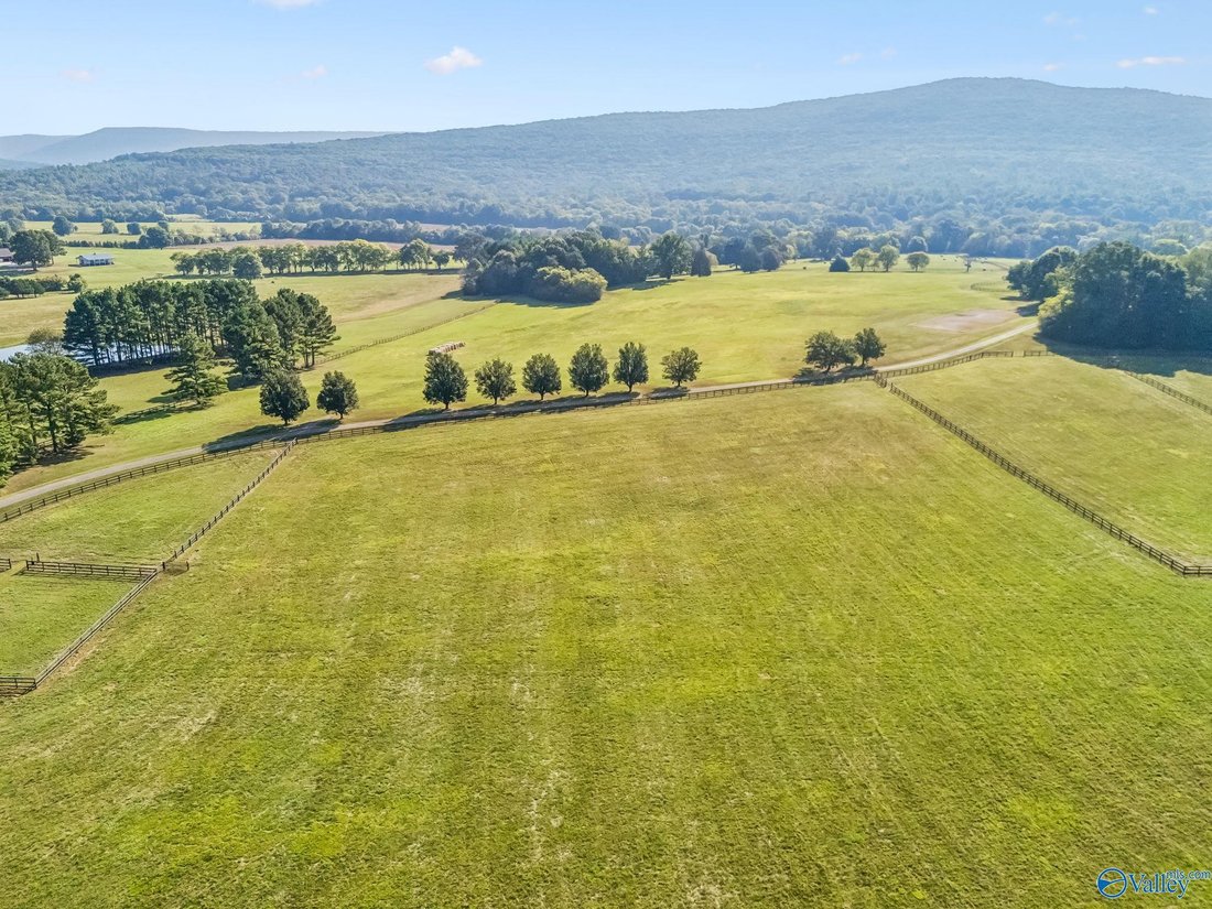 Farm Ranch in Gurley, Alabama, United States 1 - 19012204